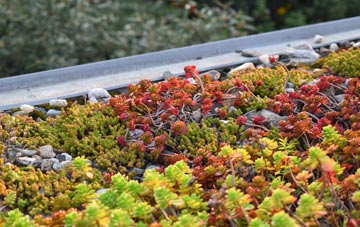 the cost of Weston Coyney green roof installation