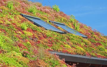 Weston Coyney living roof systems
